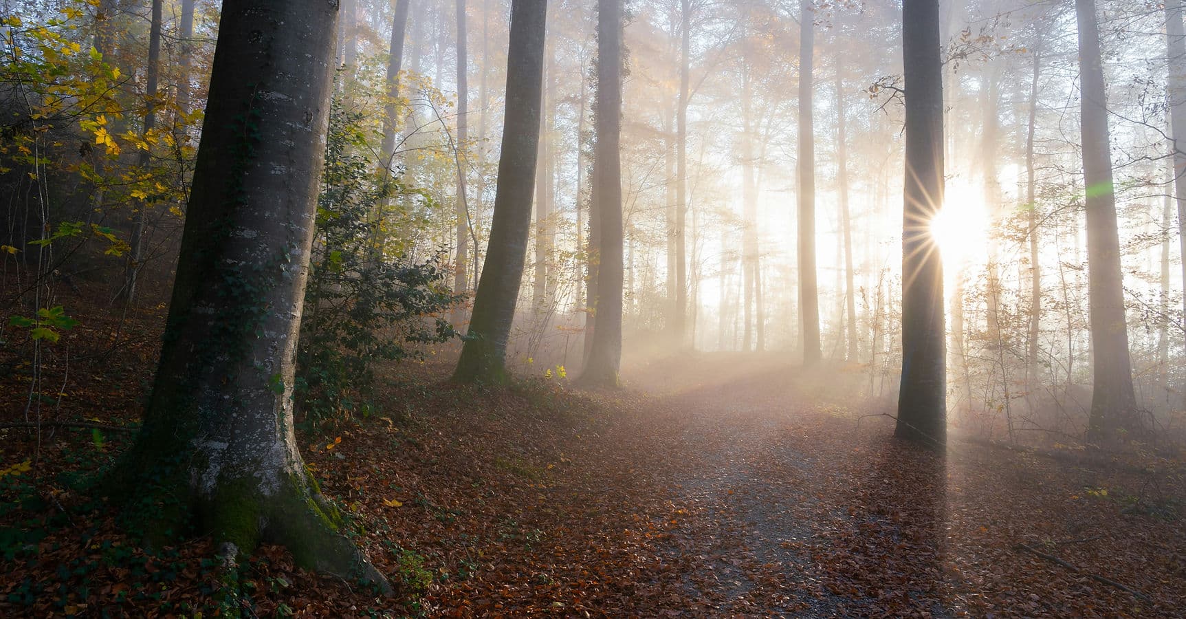 Image by Pascal Debrunner.jpg